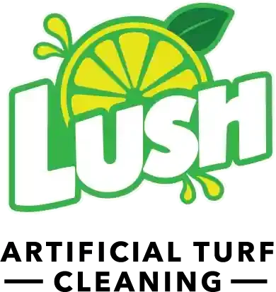 Lush Artificial Turf Cleaning logo