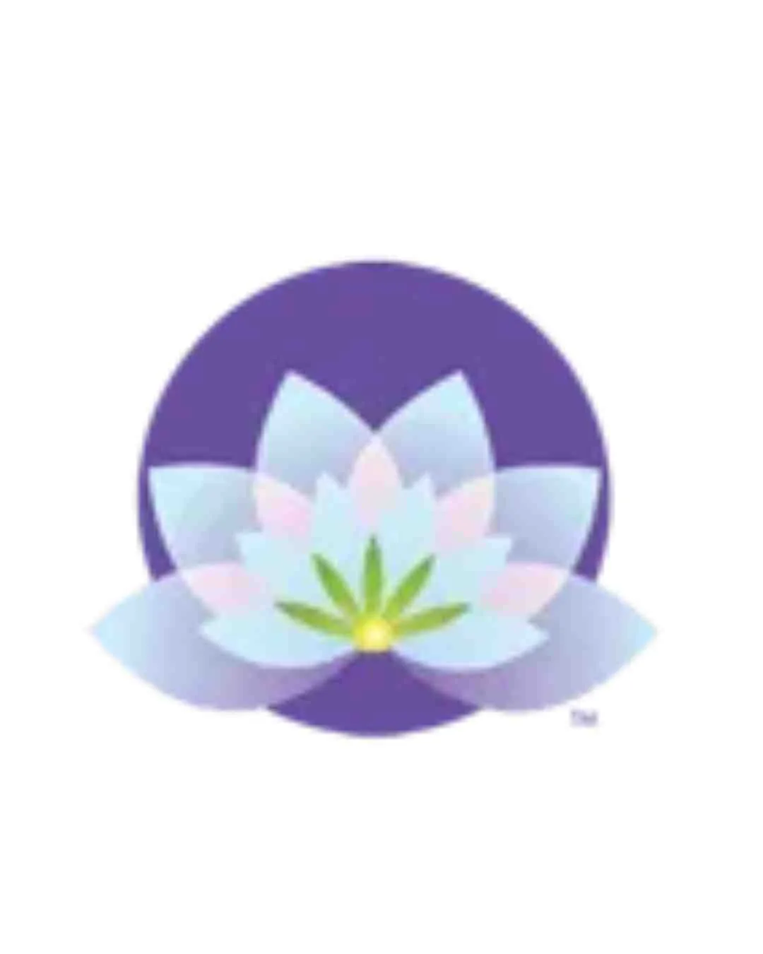 Eco Mama Green House Cleaning logo