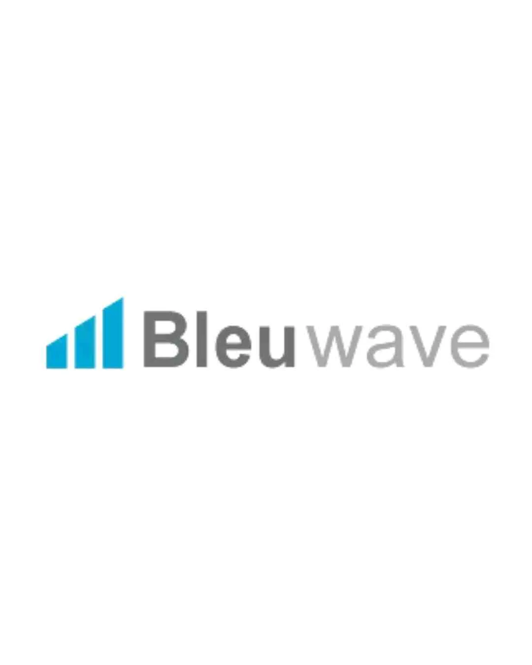 Bleuwave Handyman logo