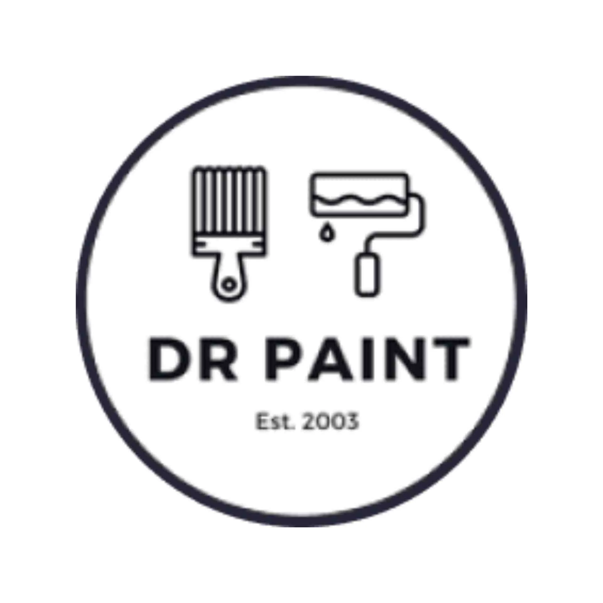 DR Paint LLC logo