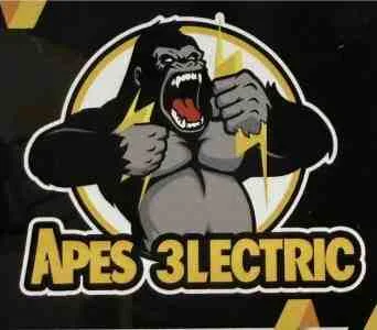 APES Electric logo
