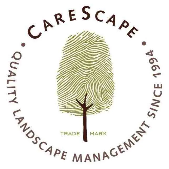 Carescape logo